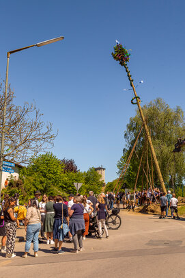 Thumbnail: _JA 31388 Maifest Hohenried 2026.jpg